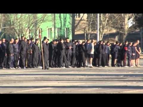 ქართული ჯარი - სტუდენტები არმიაში